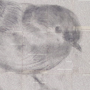 Darwin’s Birds 3 for sale at Power of Pencil