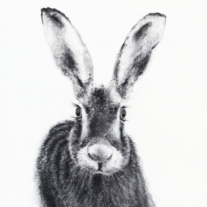 Hare 25 for sale at The Ashburn Gallery