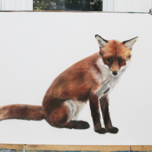 Fox cub 8 – for sale at The Ashburn Gallery, Devon