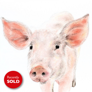Piglet – small drawing series