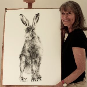 Hare 27 – SOLD