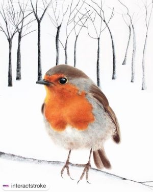 Robin Christmas cards for Interact Stroke Support 2021
