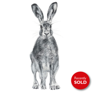 Hare 28 –  for sale at the Bobcat Gallery