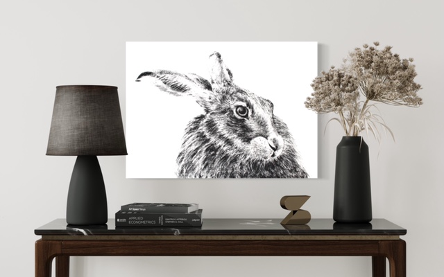 Hare on wall